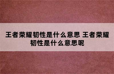 王者荣耀韧性是什么意思 王者荣耀韧性是什么意思呢